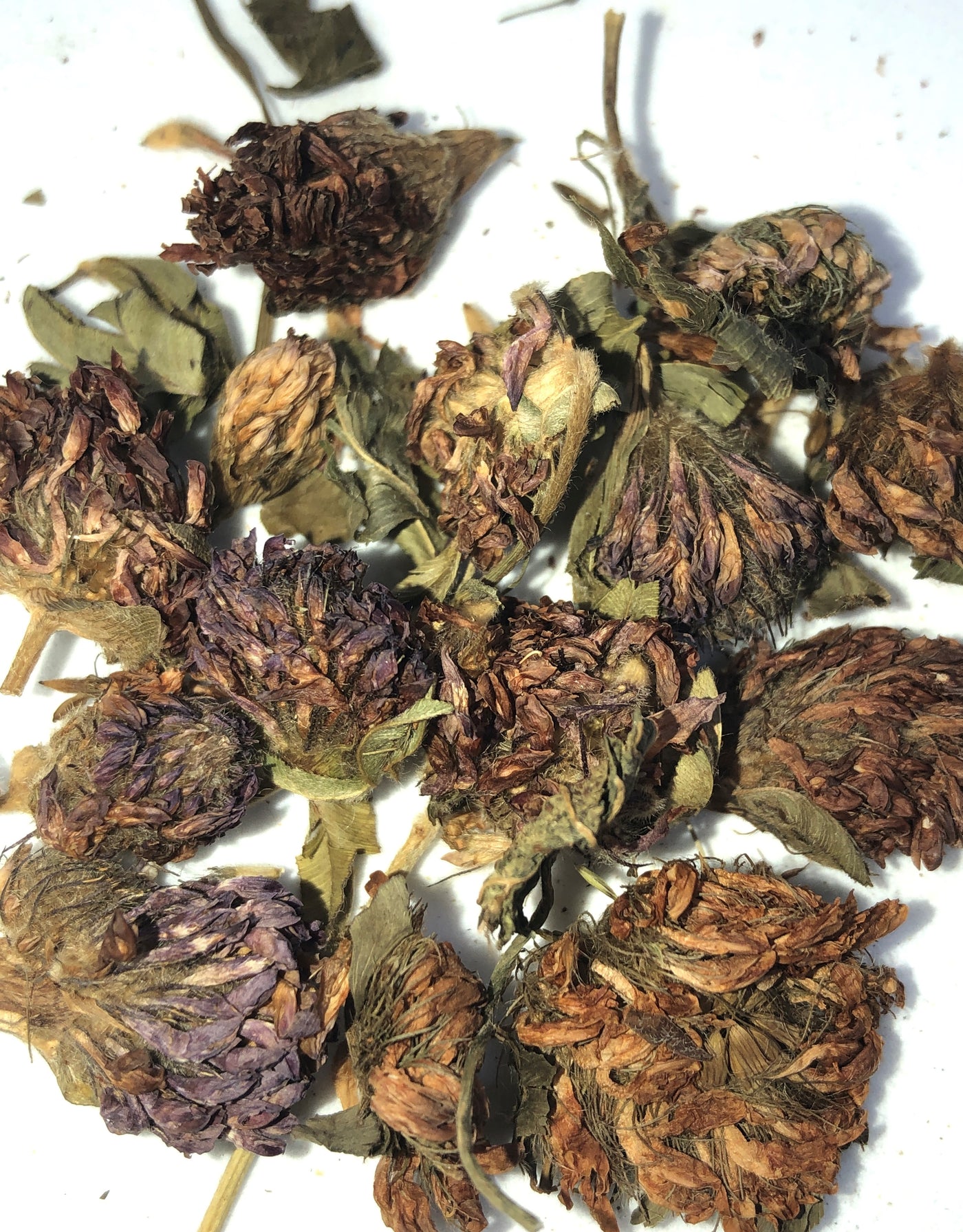 Red Clover Blossoms & Leaf (organic)